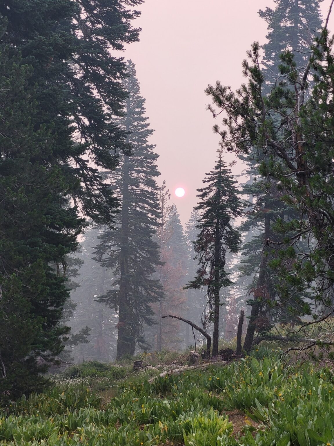 PCT day 85 · PCT class 2022 – fotka 2