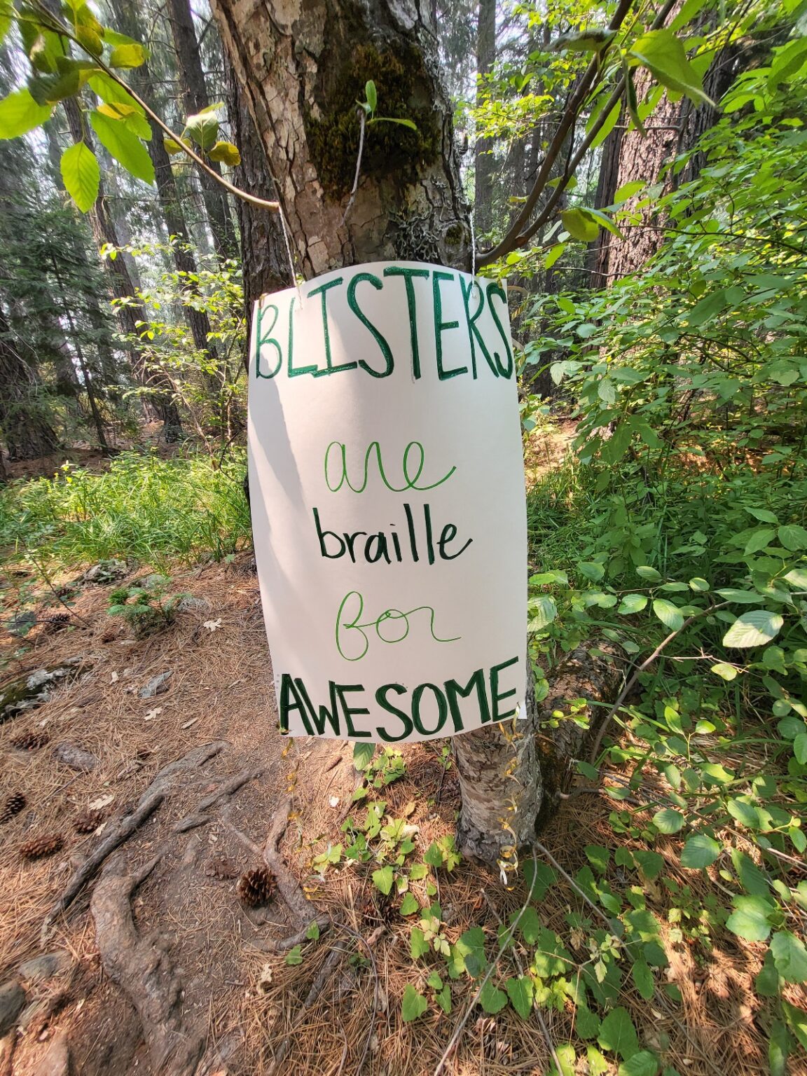 PCT day 85 · PCT class 2022 – fotka 6