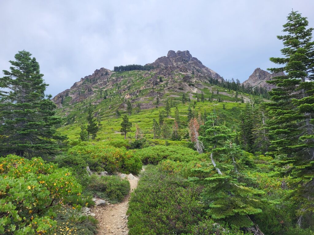 PCT day 87 · PCT class 2022 – fotka 2