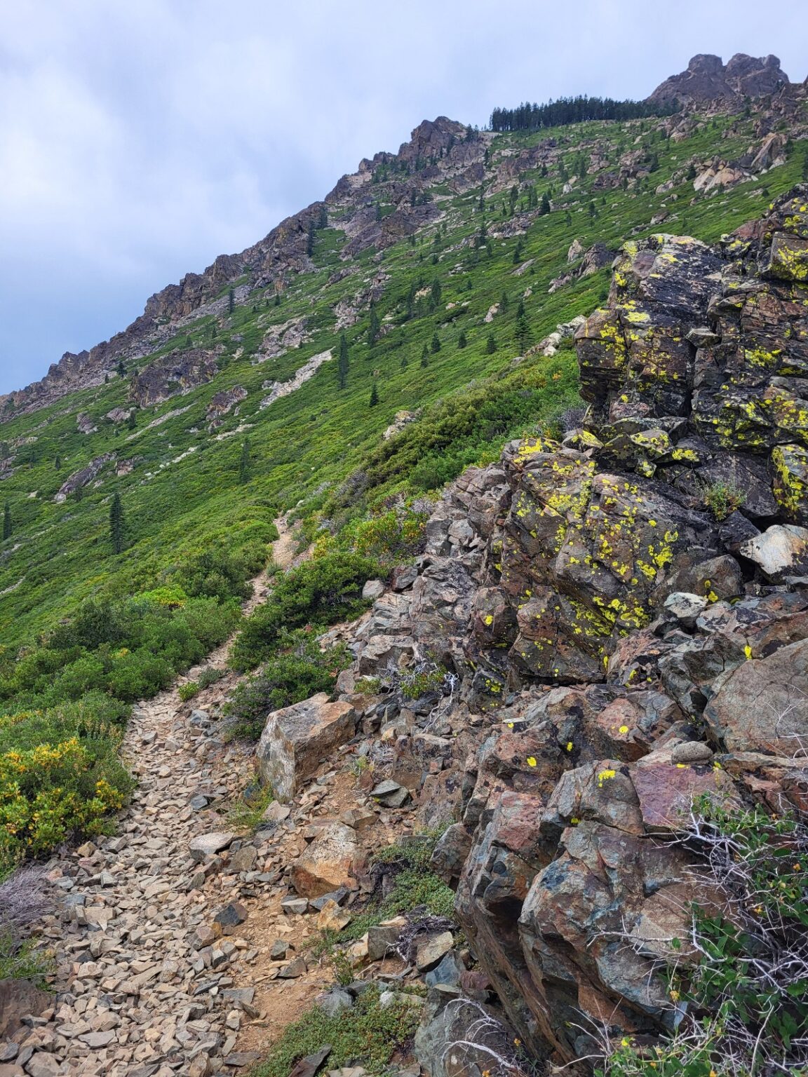 PCT day 87 · PCT class 2022 – fotka 3