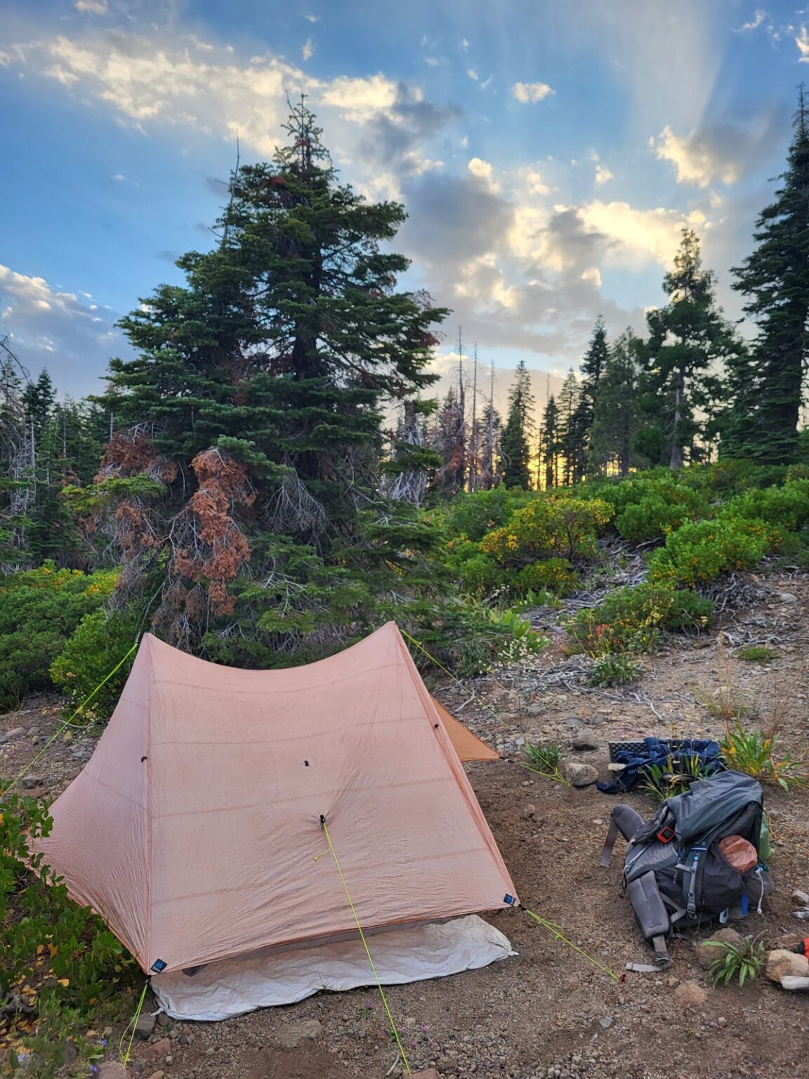 PCT day 88 · PCT class 2022 – fotka 3