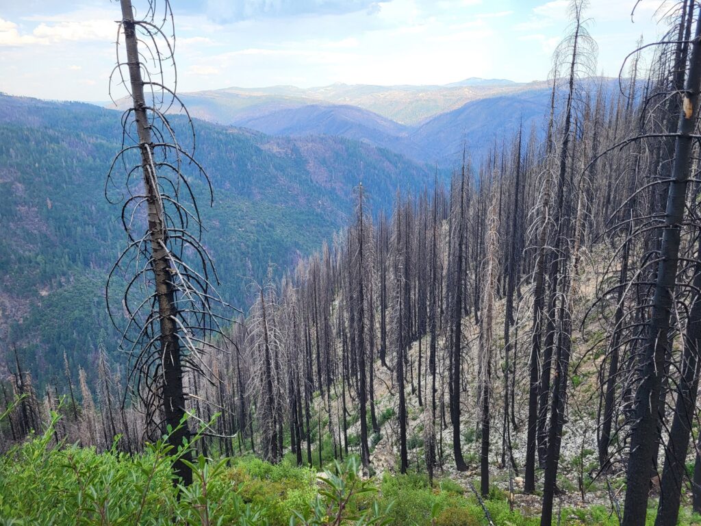 PCT day 89 · PCT class 2022 – fotka 3