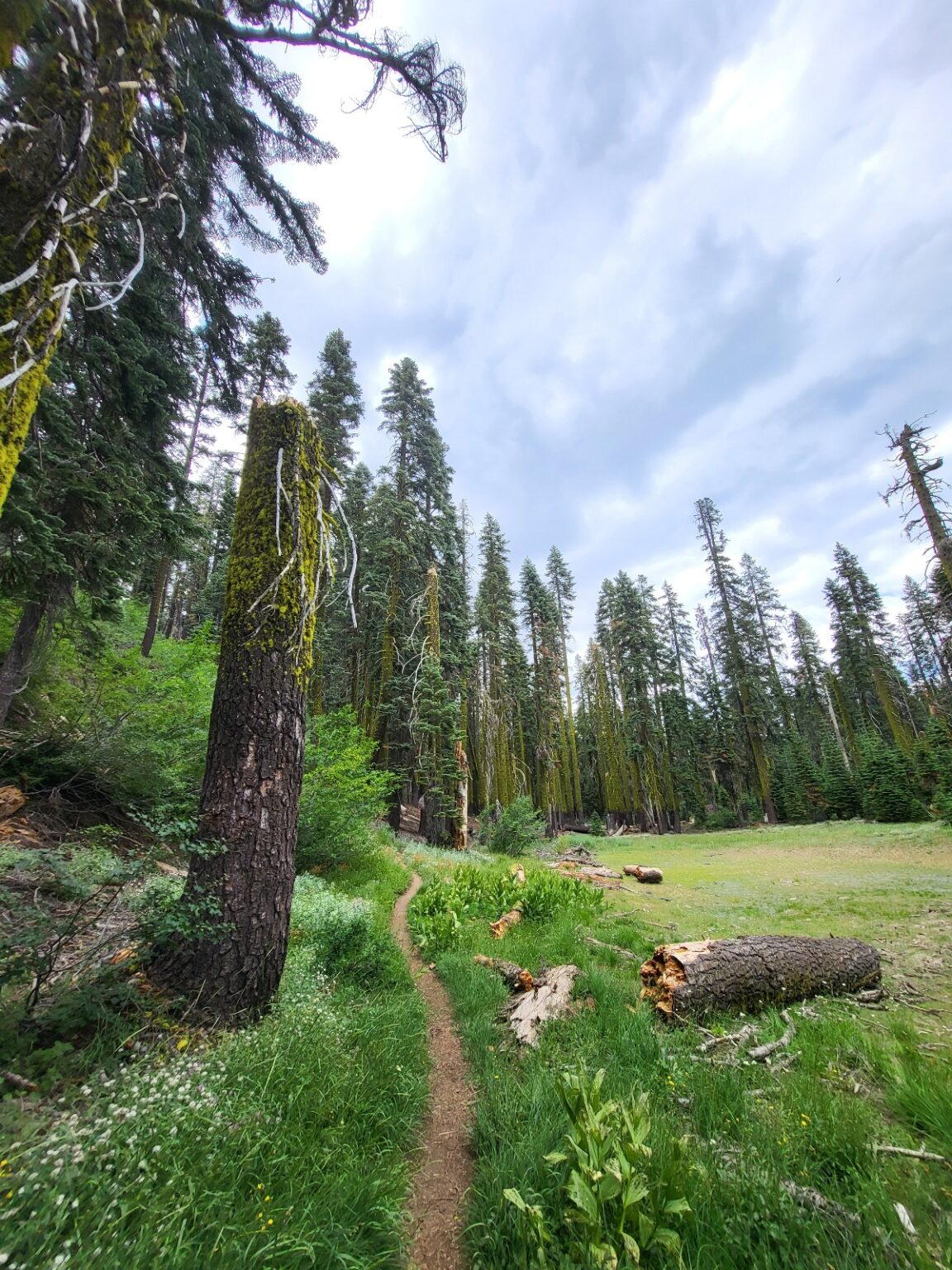 PCT day 90 · PCT class 2022 – fotka 3