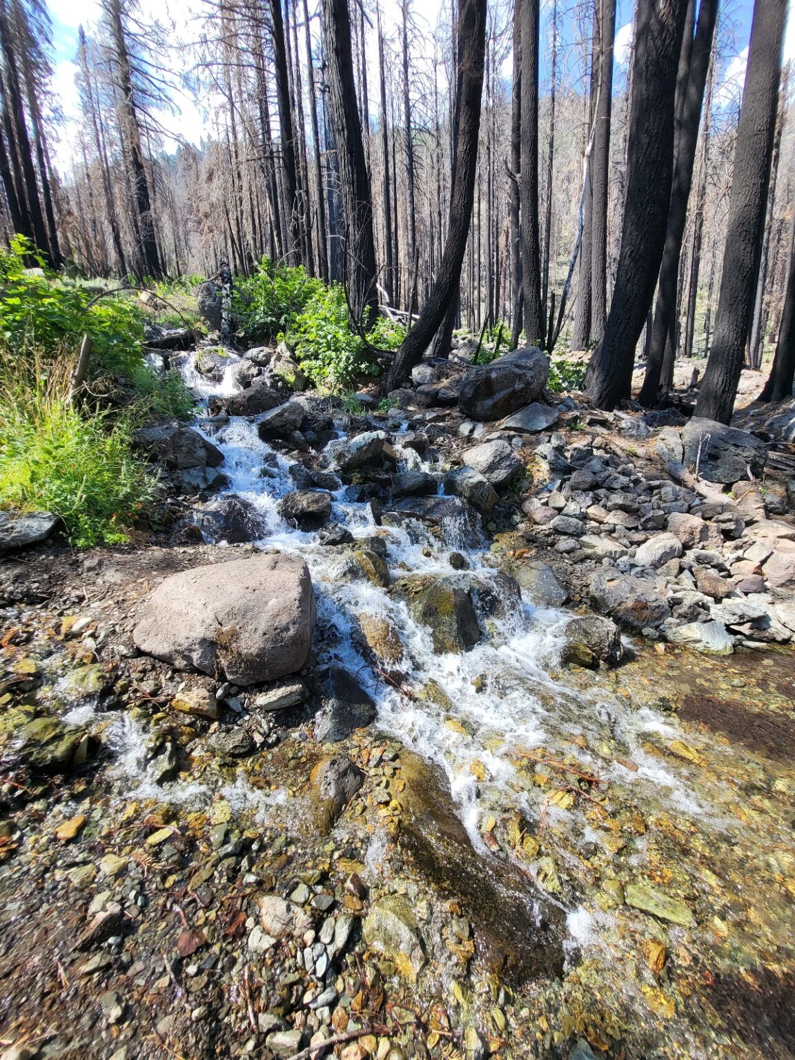 PCT day 91 · PCT class 2022 – fotka 4