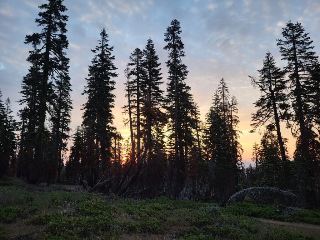 PCT day 92 · PCT class 2022 – fotka 1