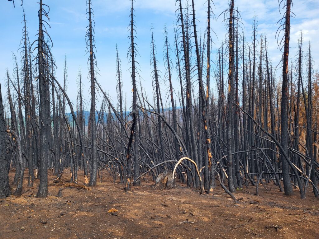 PCT day 92 · PCT class 2022 – fotka 2