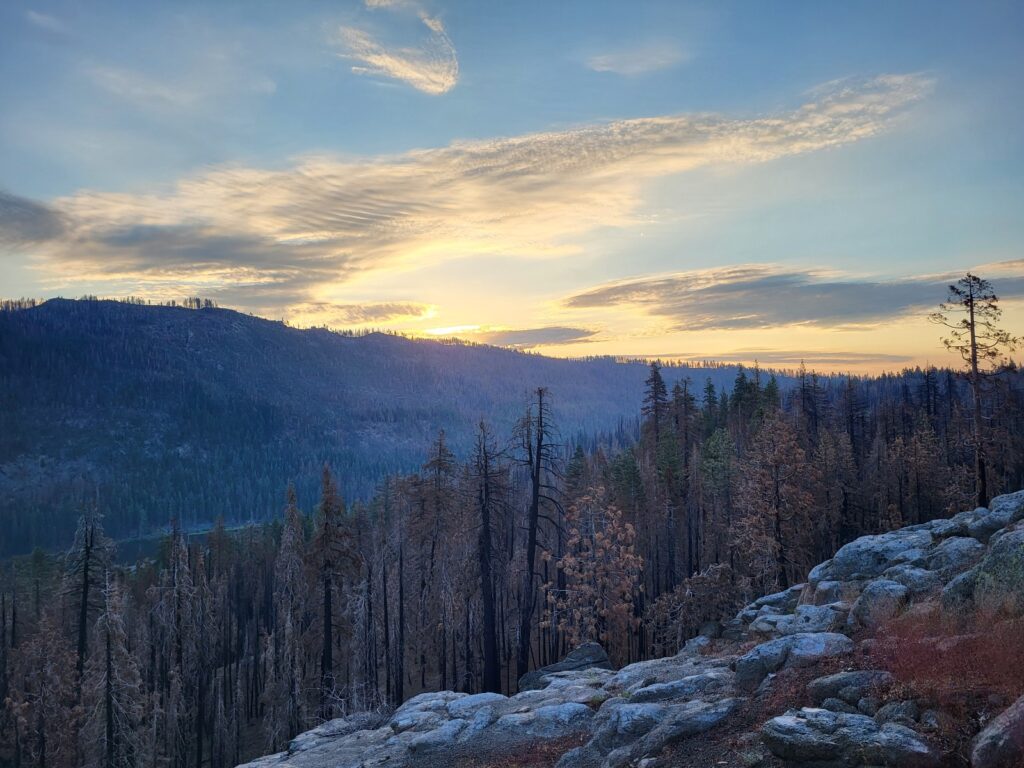 PCT day 93 · PCT class 2022 – fotka 2