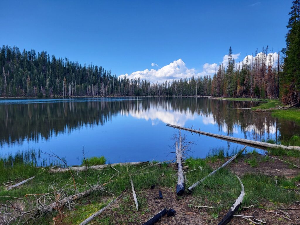 PCT day 94 · PCT class 2022 – fotka 2