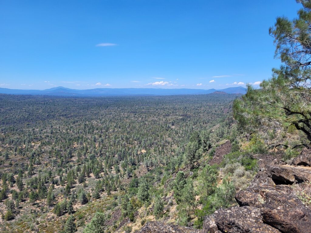 PCT day 96 · PCT class 2022 – fotka 3