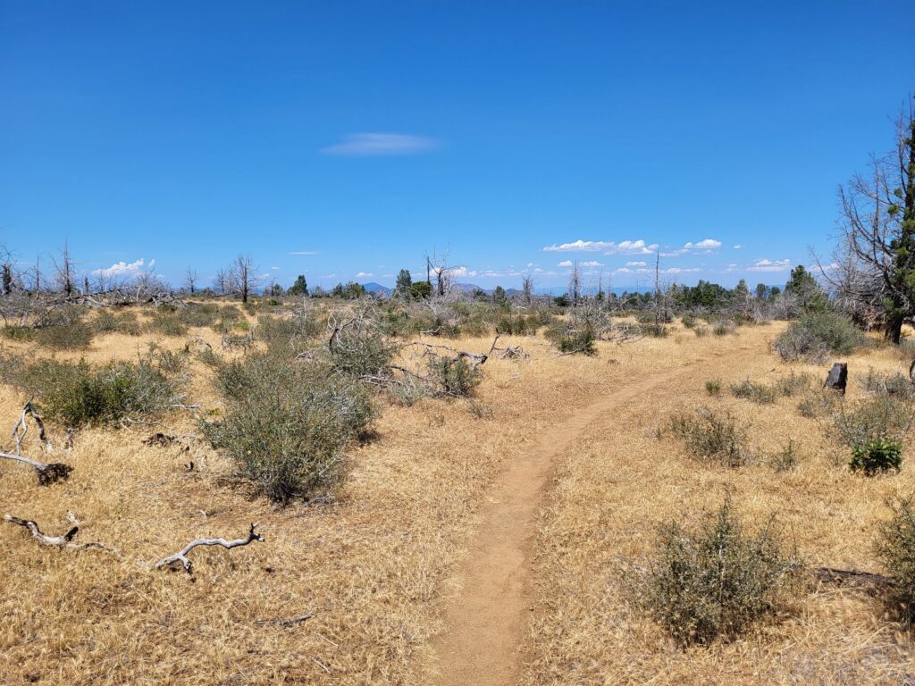 PCT day 96 · PCT class 2022 – fotka 1