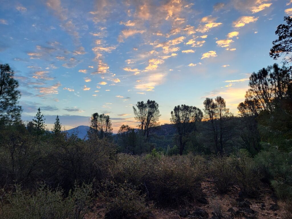PCT day 97 · PCT class 2022 – fotka 1