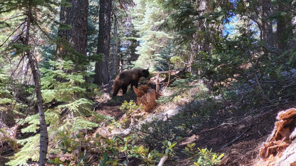 PCT day 100 · PCT class 2022 – fotka 2