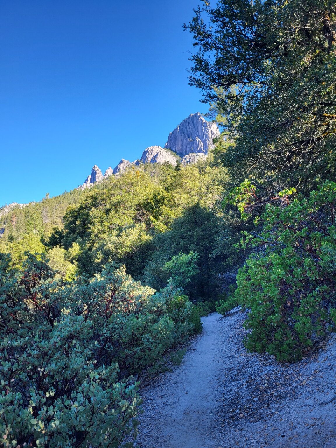 PCT day 103 · PCT class 2022 – fotka 1