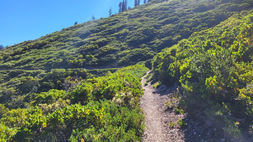PCT day 103 · PCT class 2022 – fotka 3
