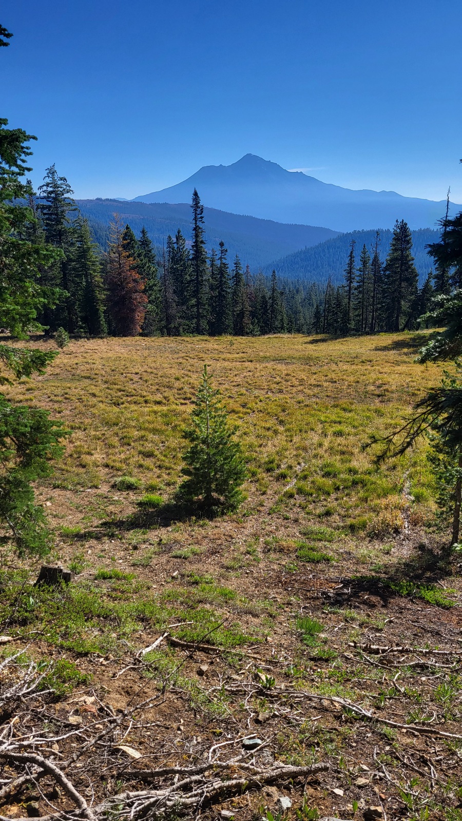 PCT day 104 · PCT class 2022 – fotka 1