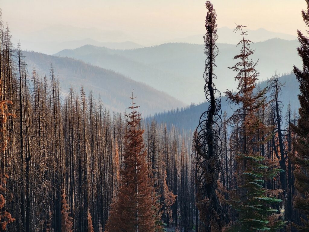 PCT day 105 · PCT class 2022 – fotka 4