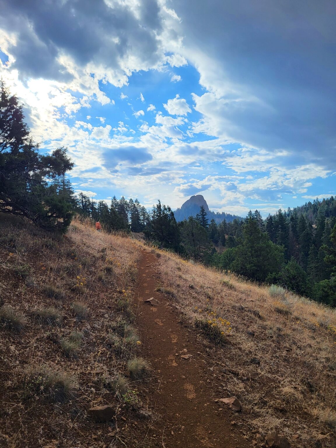 PCT day 109 · PCT class 2022 – fotka 1