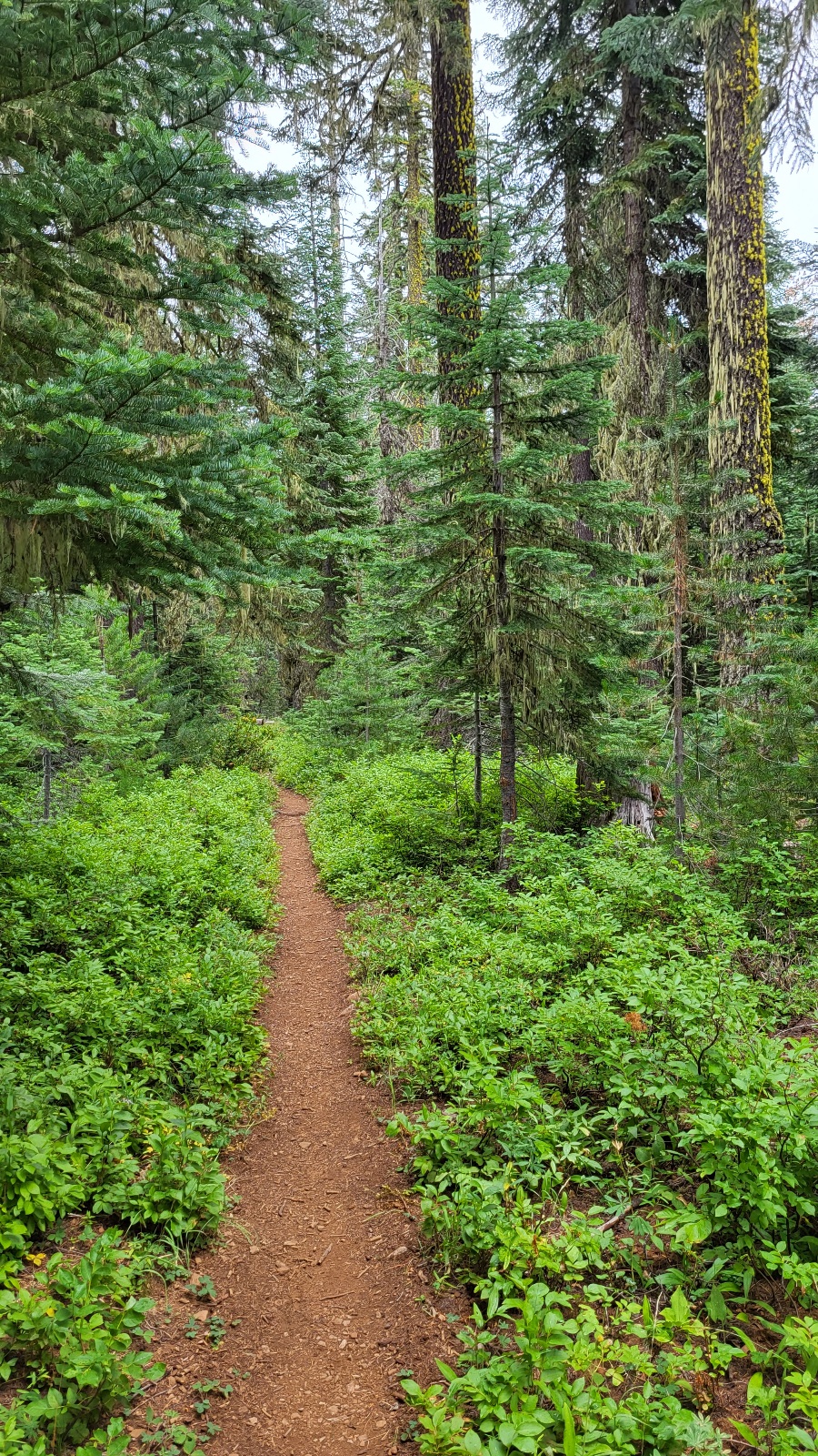 PCT day 110 · PCT class 2022 – fotka 2
