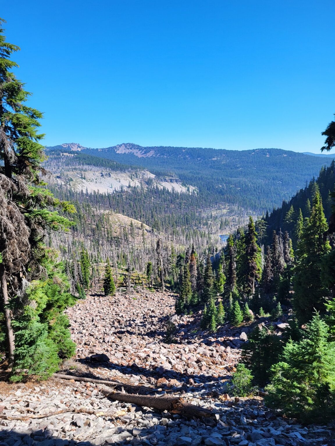 PCT day 112 · PCT class 2022 – fotka 1
