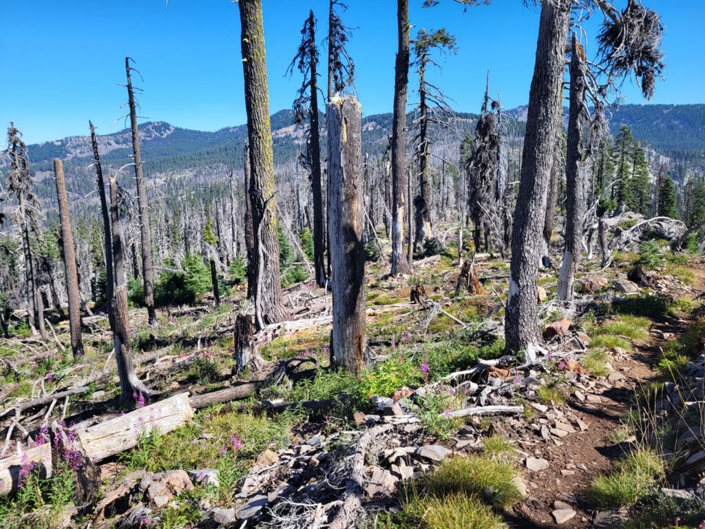 PCT day 112 · PCT class 2022 – fotka 2
