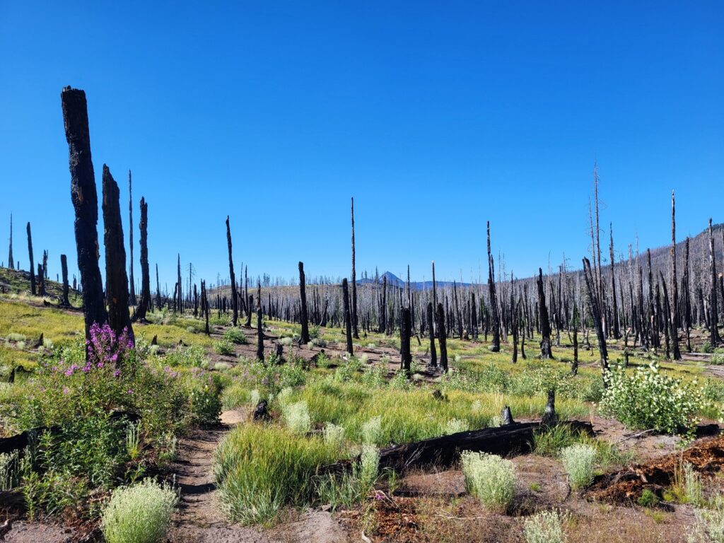 PCT day 112 · PCT class 2022 – fotka 7