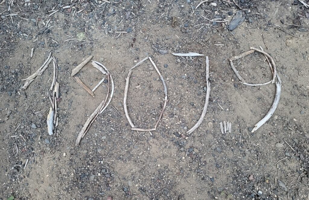 PCT day 115 · PCT class 2022 – fotka 2