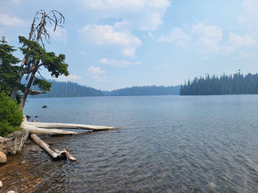 PCT day 116 · PCT class 2022 – fotka 3