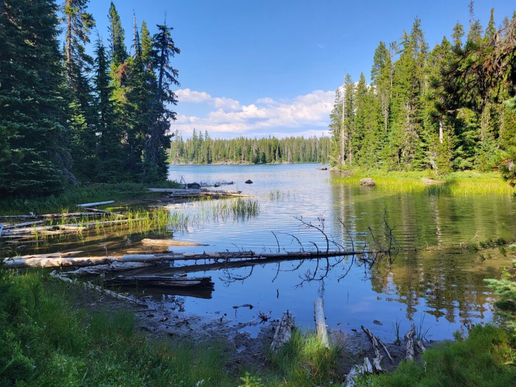 PCT day 116 · PCT class 2022 – fotka 6