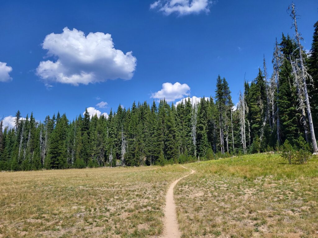 PCT day 117 · PCT class 2022 – fotka 1