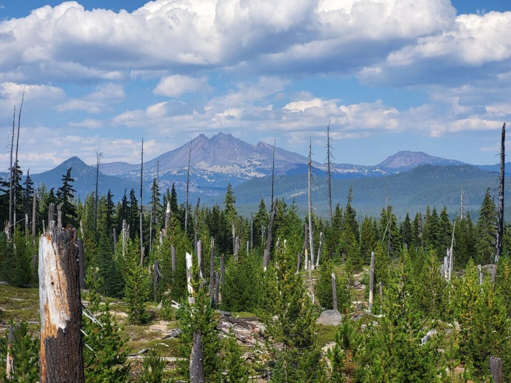 PCT day 117 · PCT class 2022 – fotka 2