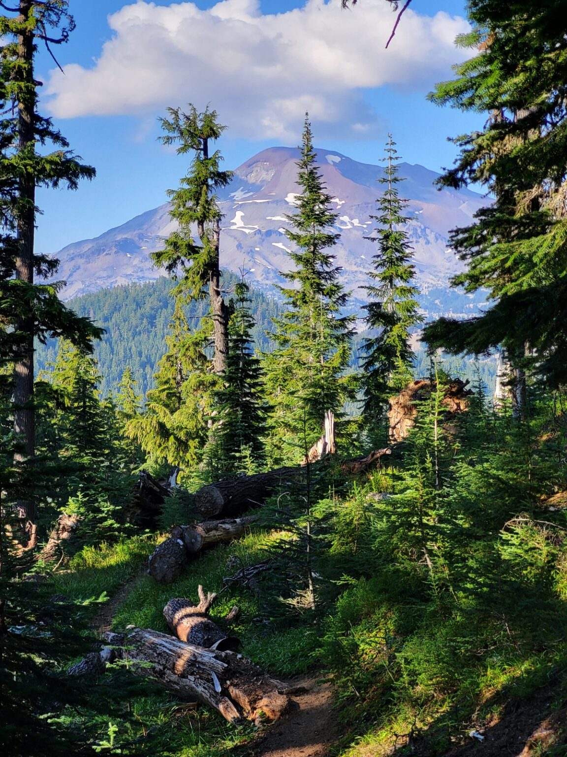 PCT day 117 · PCT class 2022 – fotka 4
