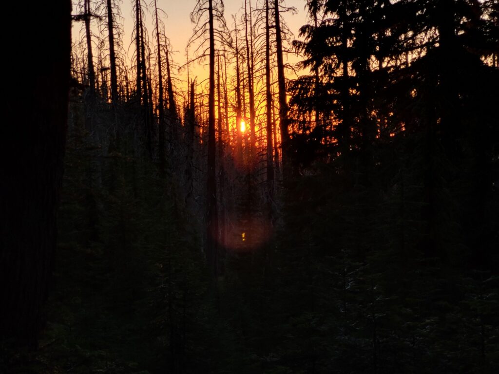PCT day 117 · PCT class 2022 – fotka 8