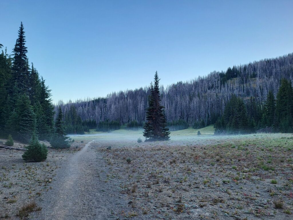 PCT day 118 · PCT class 2022 – fotka 1