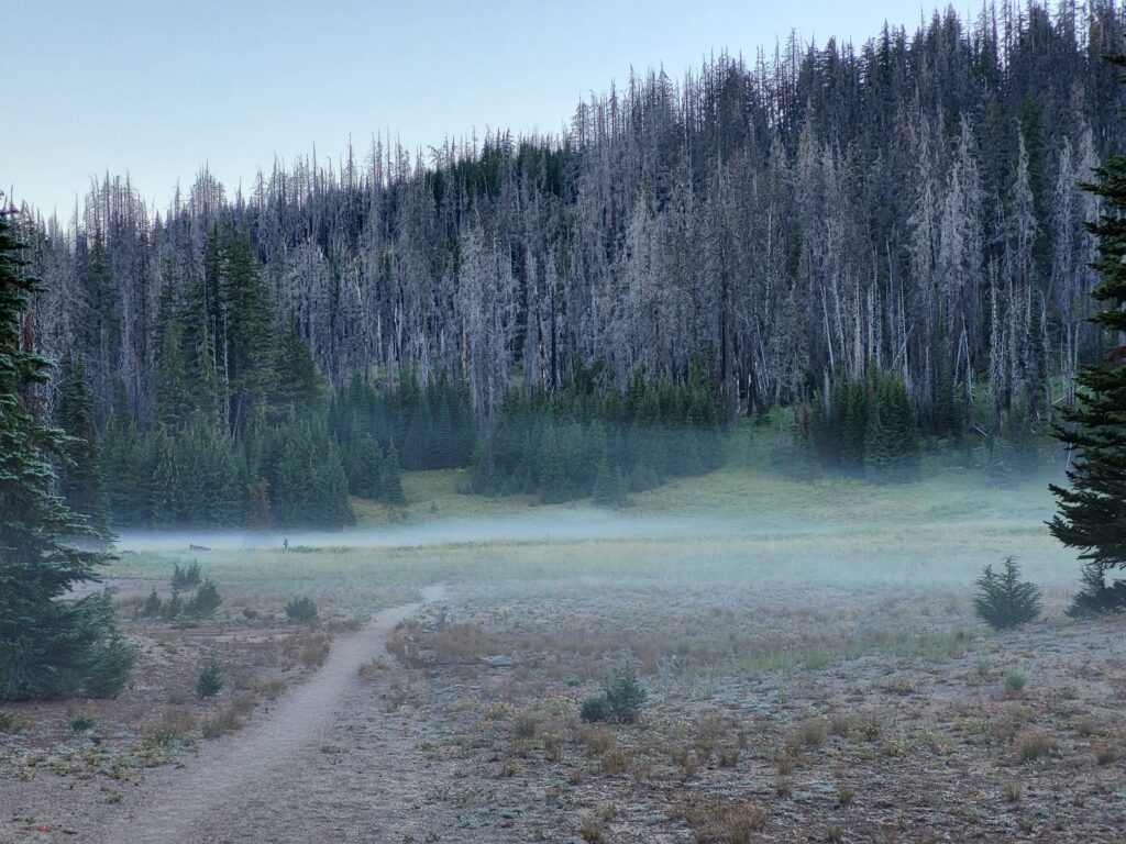 PCT day 118 · PCT class 2022 – fotka 2