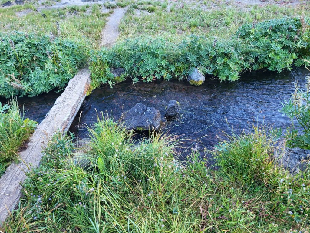 PCT day 118 · PCT class 2022 – fotka 3