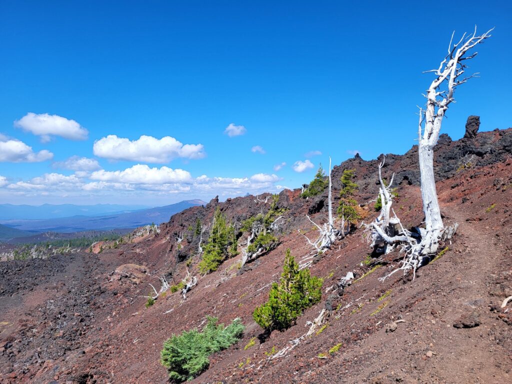 PCT day 118 · PCT class 2022 – fotka 9