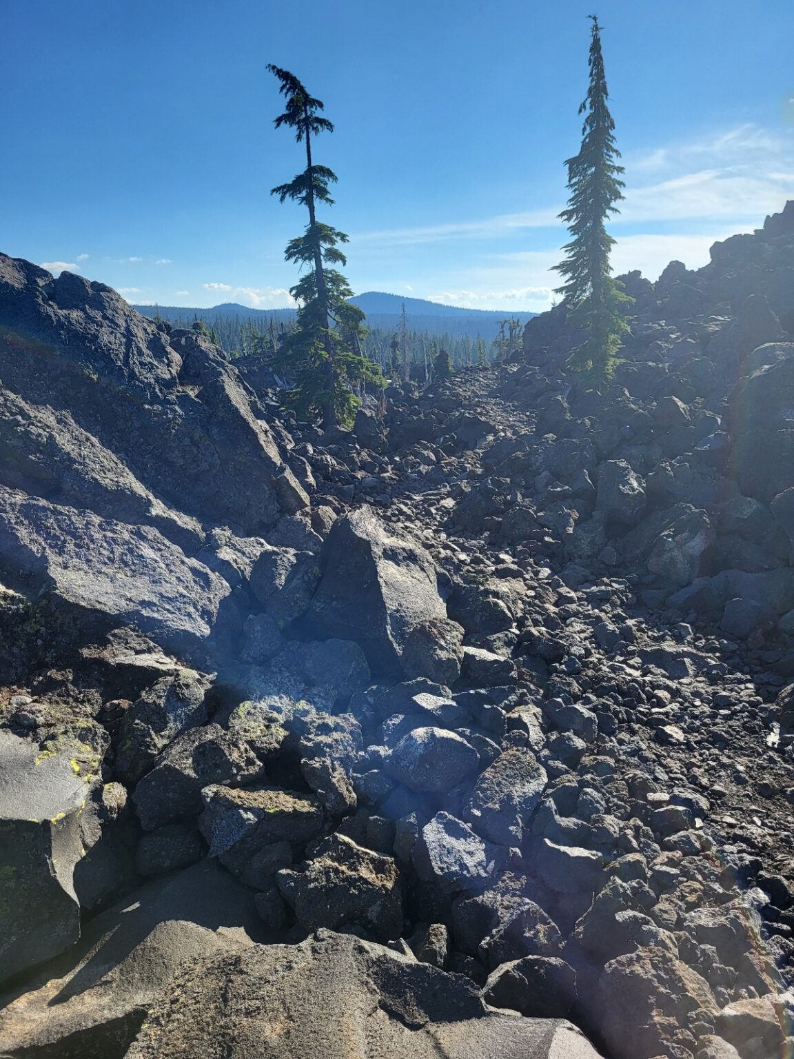 PCT day 118 · PCT class 2022 – fotka 10