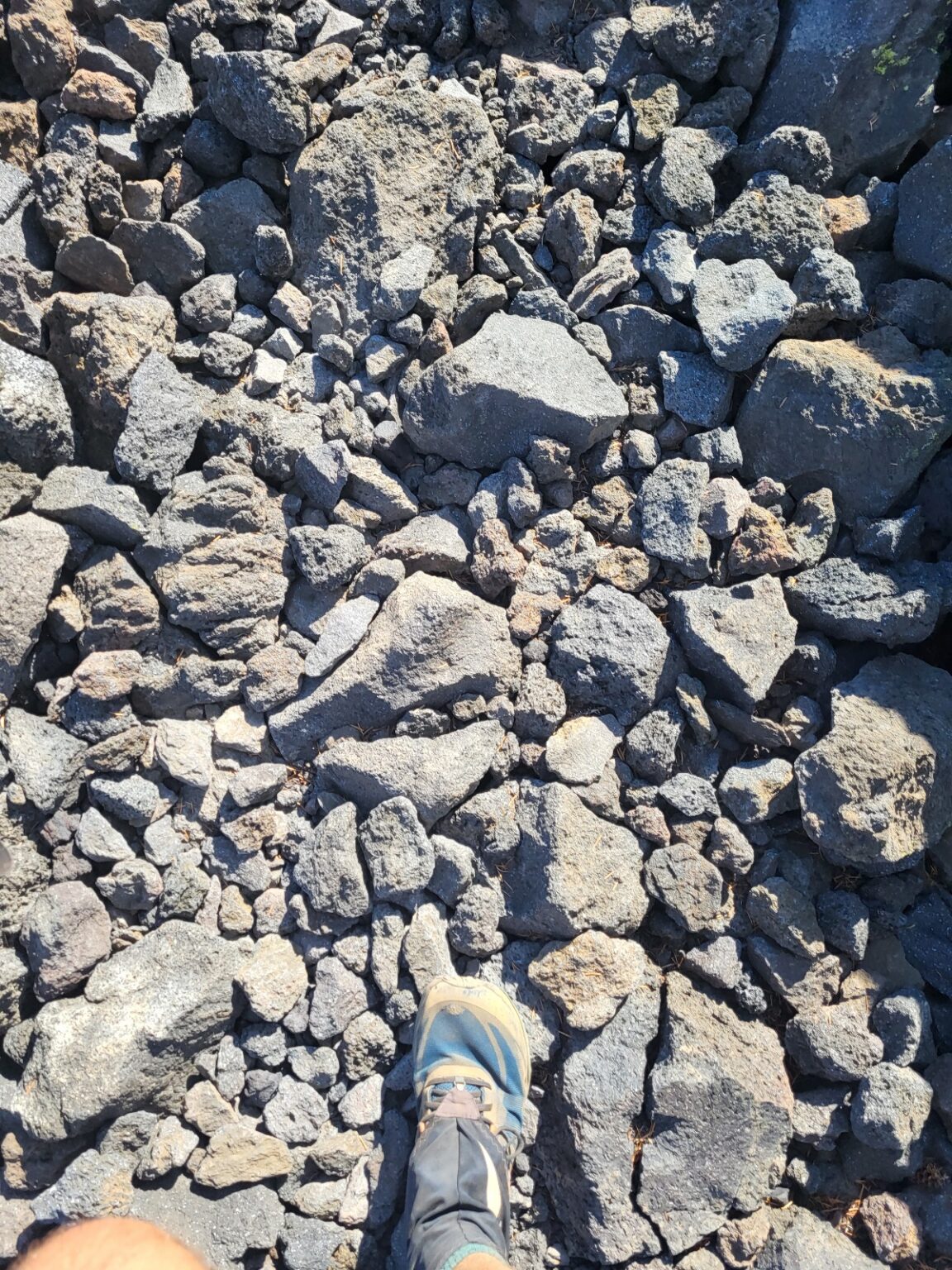 PCT day 118 · PCT class 2022 – fotka 11