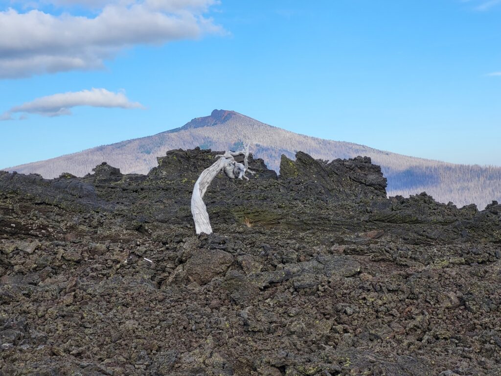 PCT day 118 · PCT class 2022 – fotka 12