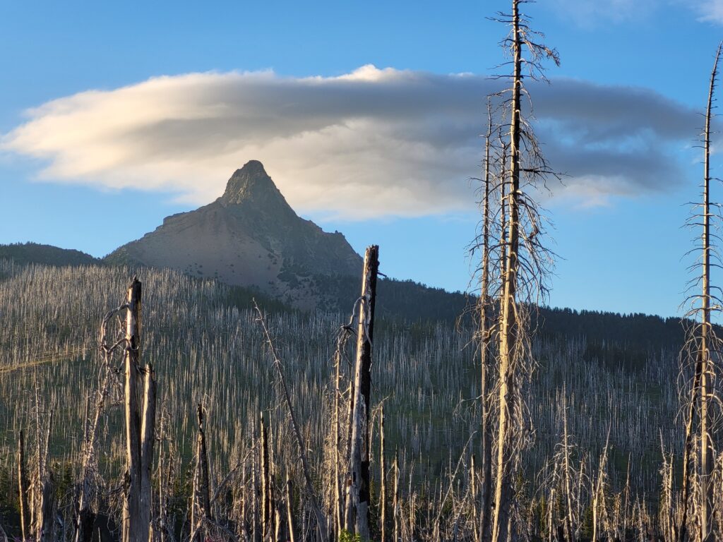 PCT day 118 · PCT class 2022 – fotka 15
