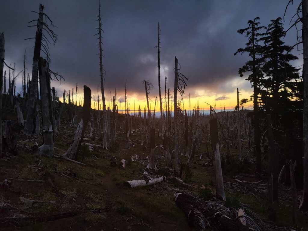 PCT day 119 · PCT class 2022 – fotka 1