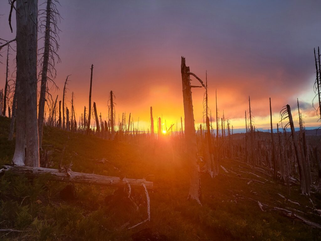 PCT day 119 · PCT class 2022 – fotka 2