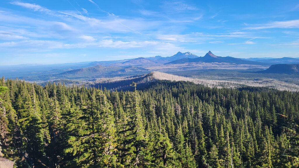 PCT day 119 · PCT class 2022 – fotka 12