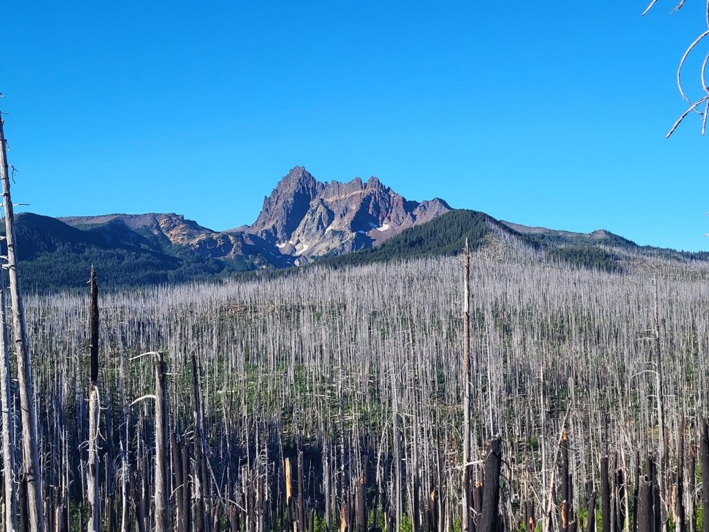 PCT day 120 · PCT class 2022 – fotka 3