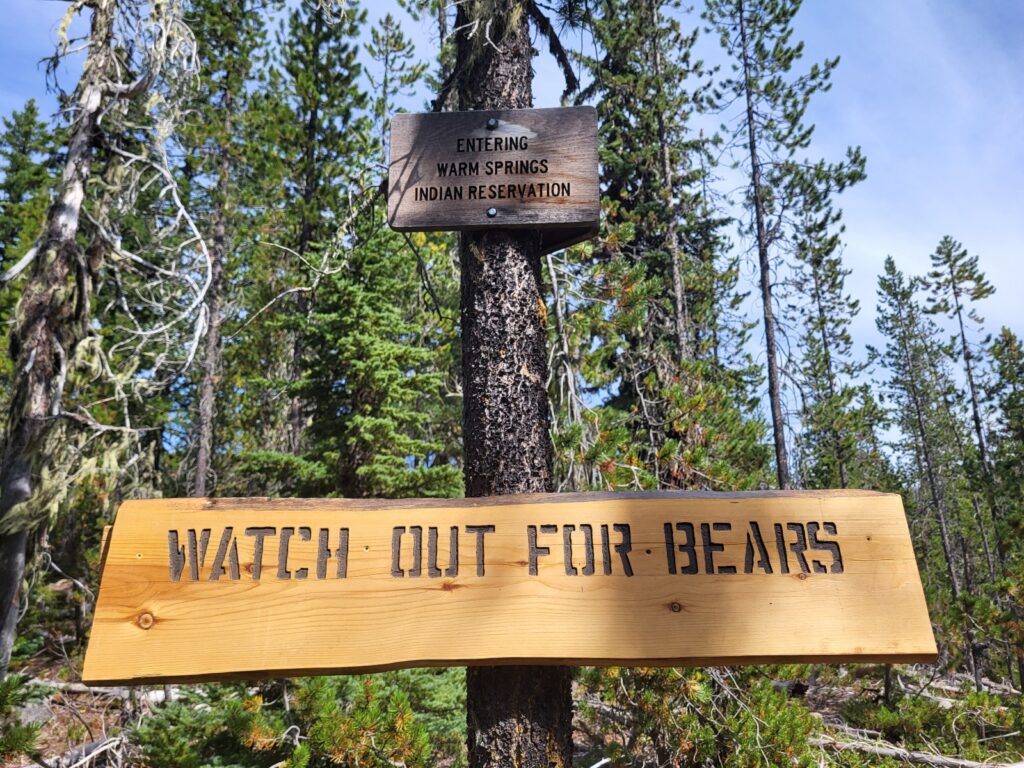 PCT day 121 · PCT class 2022 – fotka 8