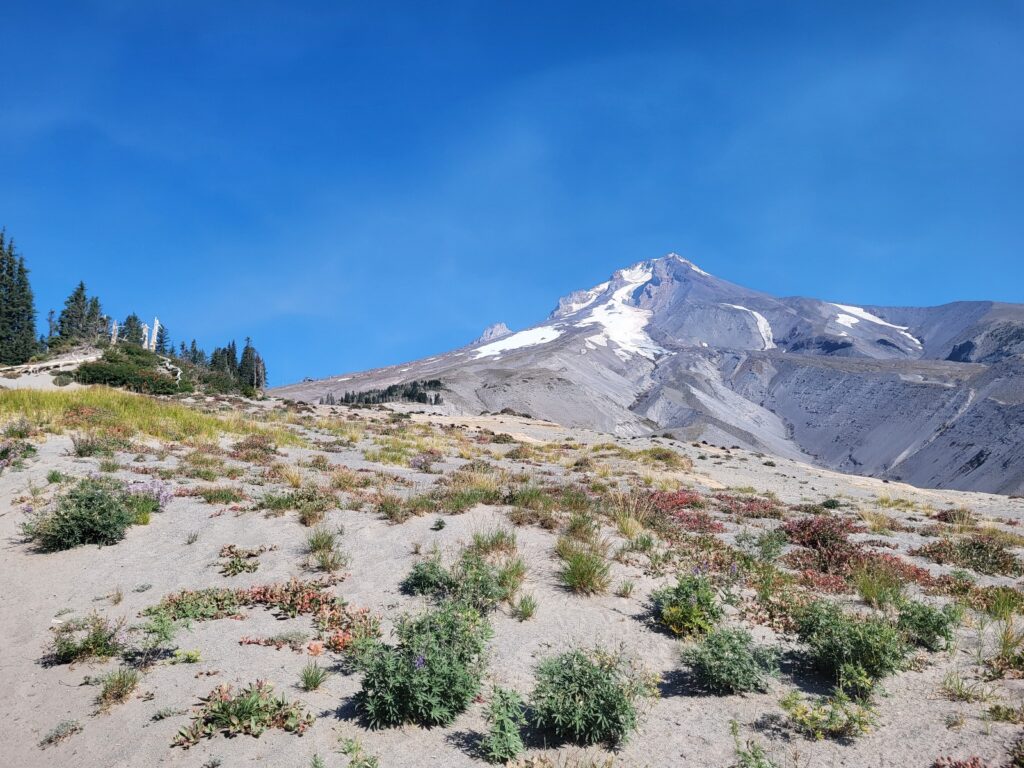 PCT day 123 · PCT class 2022 – fotka 1