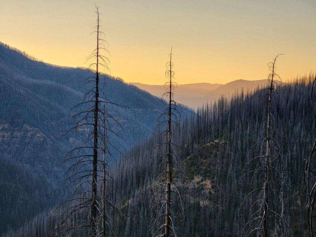 PCT day 124 · PCT class 2022 – fotka 4