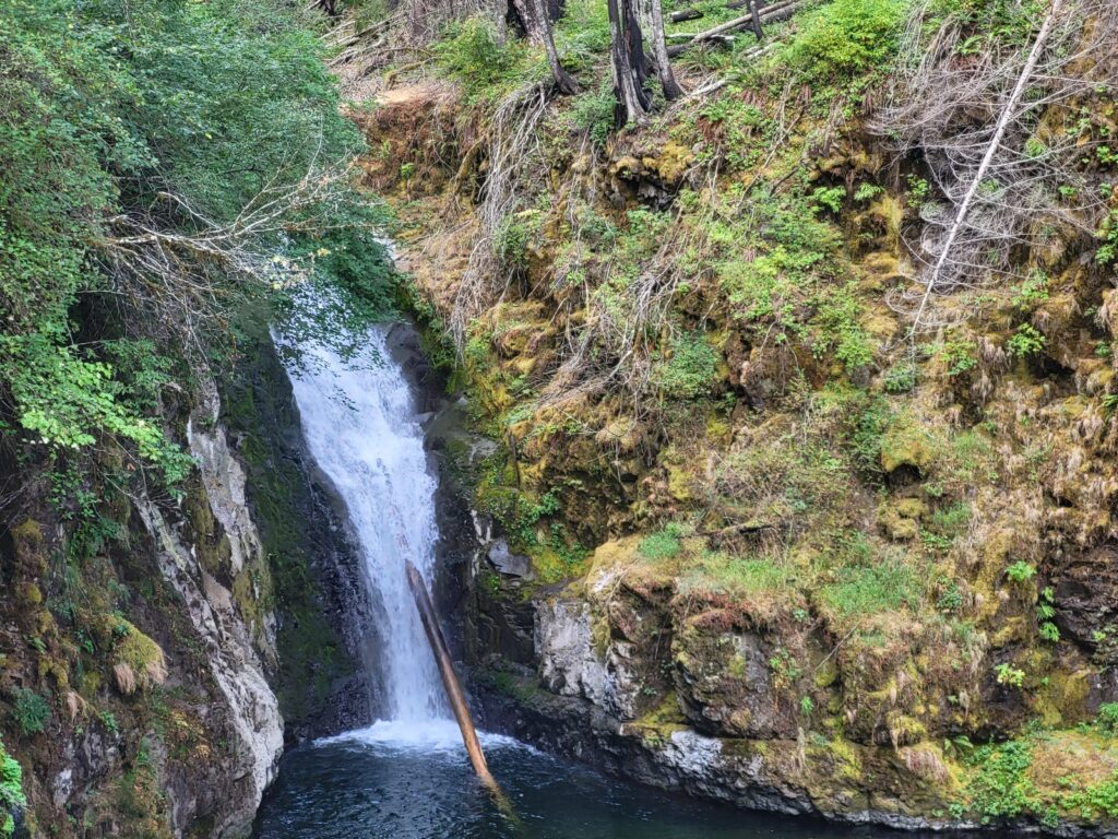 PCT day 125 · PCT class 2022 – fotka 1