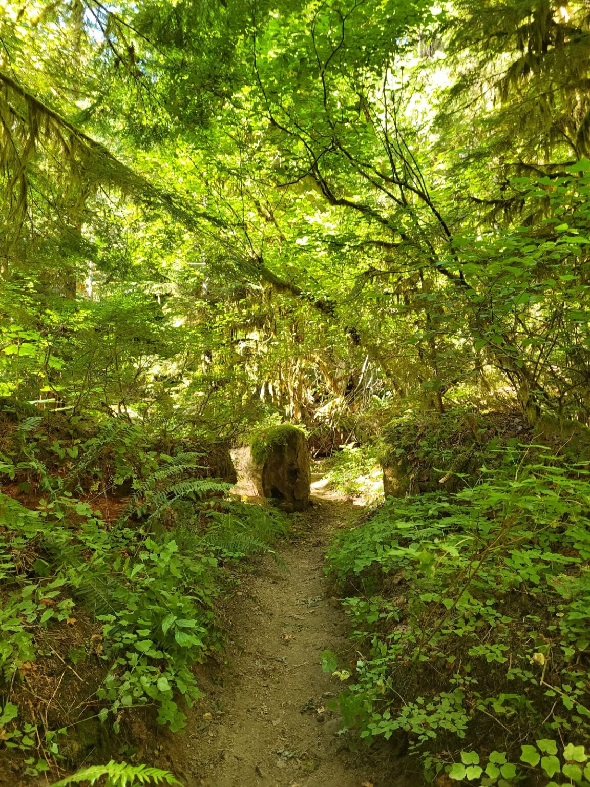 PCT day 128 · PCT class 2022 – fotka 4