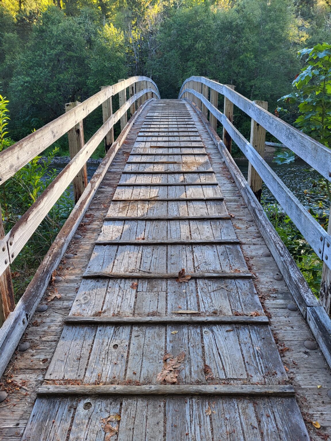 PCT day 129 · PCT class 2022 – fotka 1